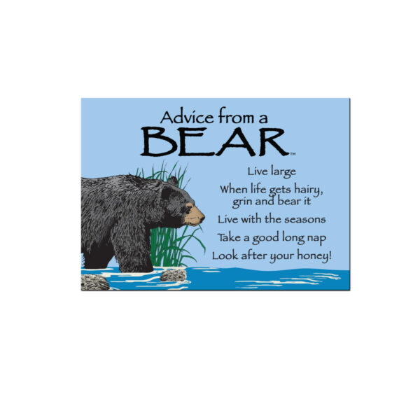Magnet Advice Bear