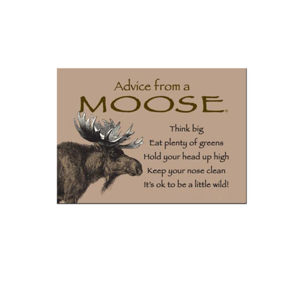 Advice from a Moose Magnet.