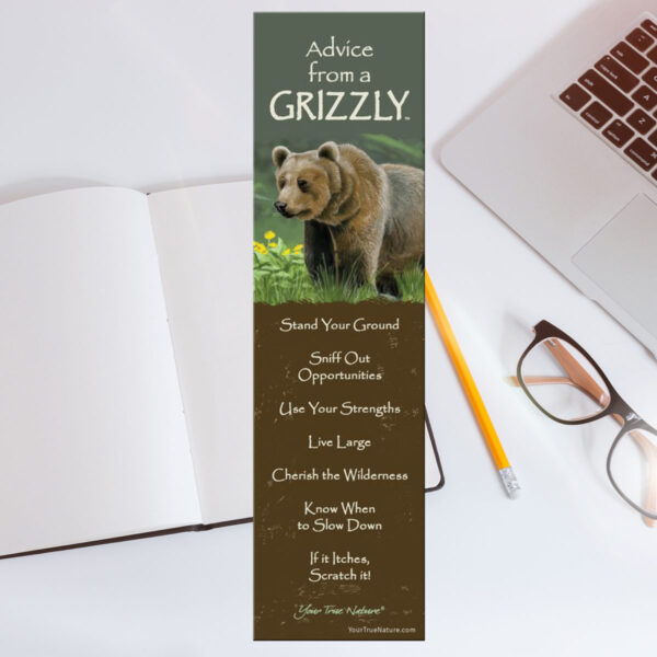 Advice Grizzly Bookmark