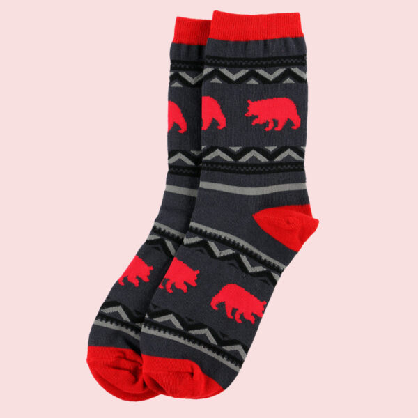 Bear patterned on a red and gray sock.