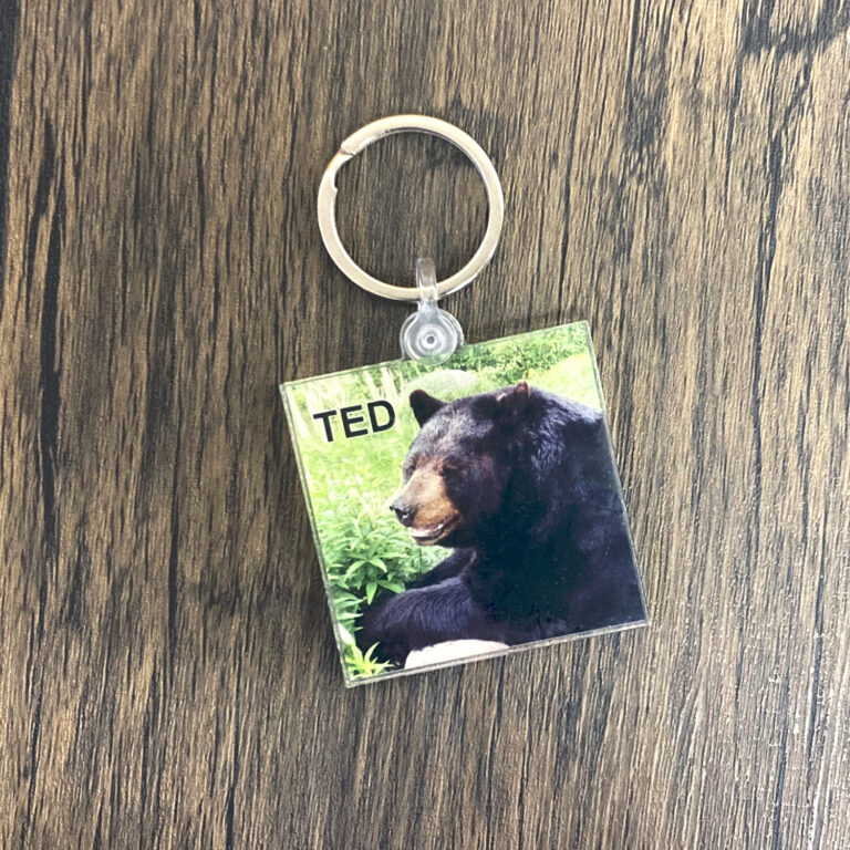 Keychain Ted 23