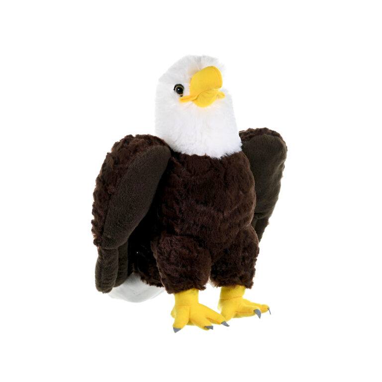 Splendors Eagle