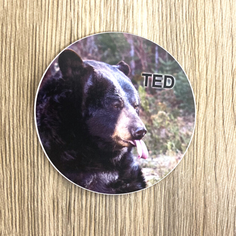 Ted Sticker Circle